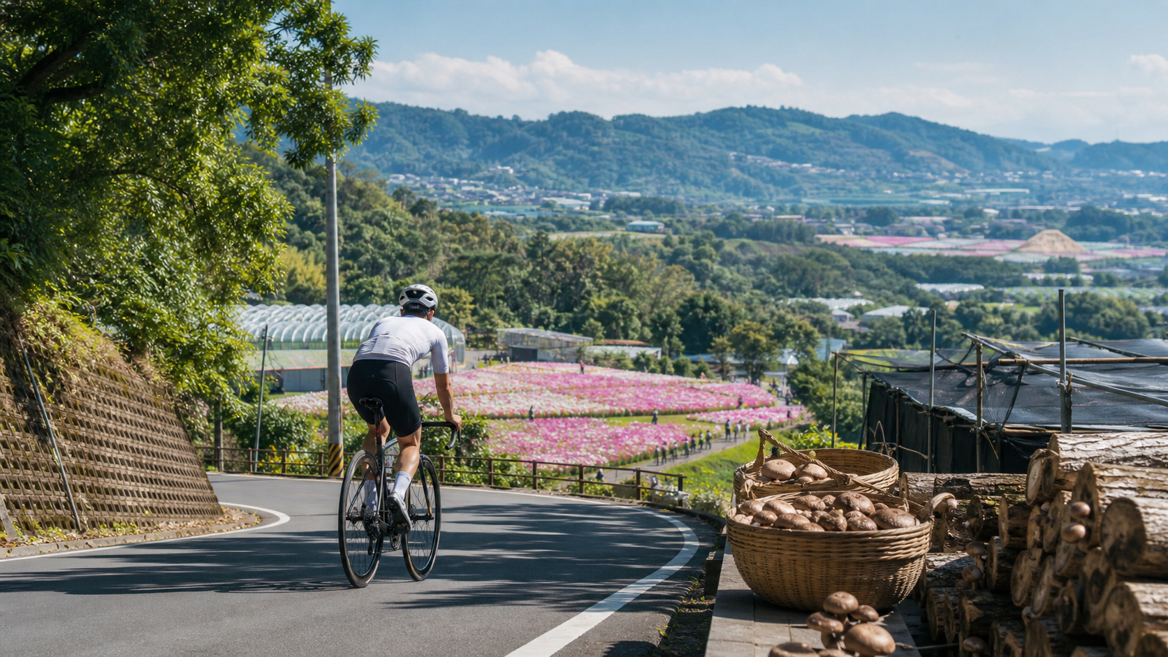 從大坑騎向新社:香菇、花海與台中山城的一日慢騎手札