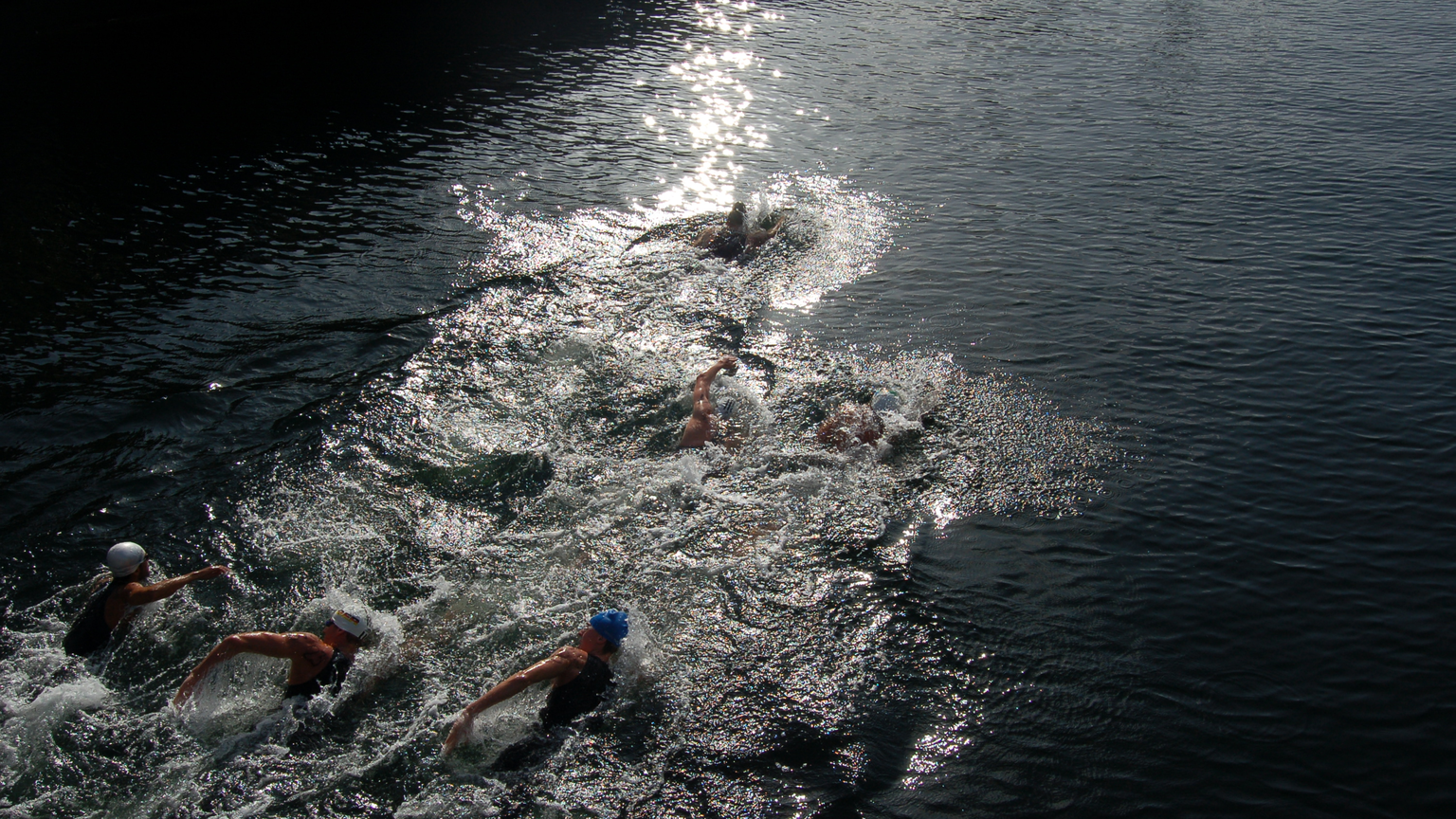 國際 10K 馬拉松游泳賽事介紹:從 FINA 規則到頂尖賽場